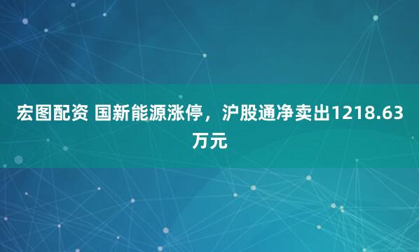 宏图配资 国新能源涨停，沪股通净卖出1218.63万元